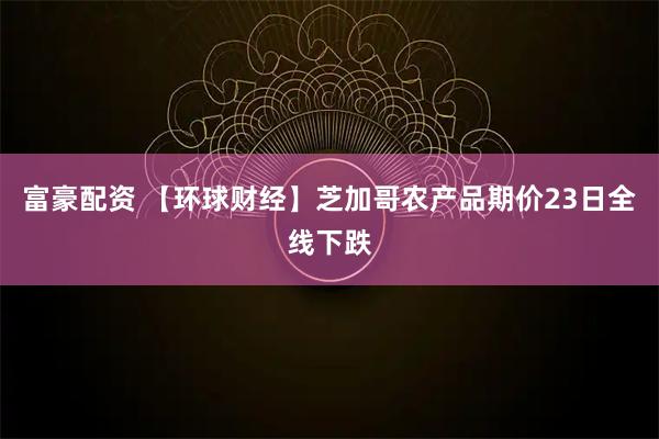 富豪配资 【环球财经】芝加哥农产品期价23日全线下跌