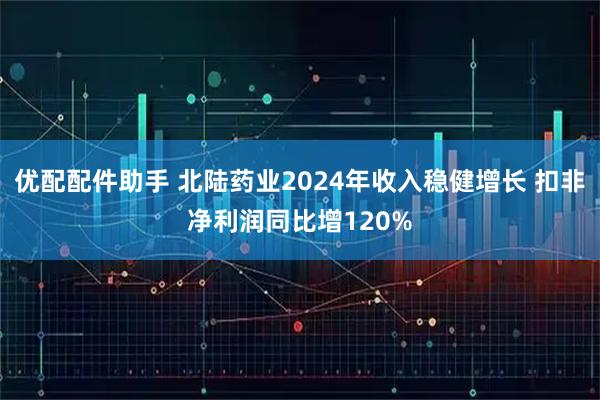 优配配件助手 北陆药业2024年收入稳健增长 扣非净利润同比增120%