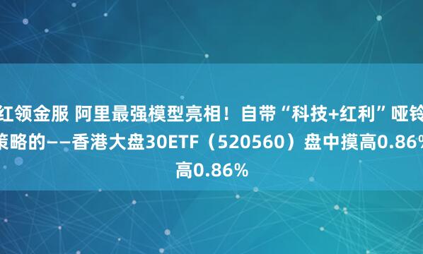 红领金服 阿里最强模型亮相！自带“科技+红利”哑铃策略的——香港大盘30ETF（520560）盘中摸高0.86%